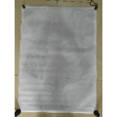 定制白俄罗斯驾驶执照